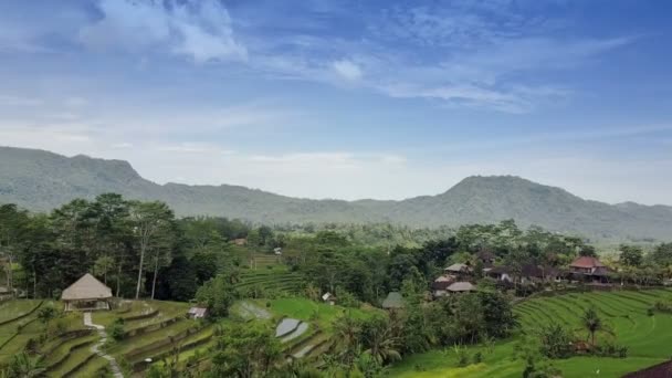 Aero utsikt från drone på risterrasser av berg och hus av jordbrukare. Bali, Indonesien — Stockvideo