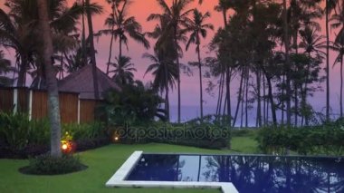 Drone Aero görünümünden deniz ve hangi palmiye ağaçları Bali Endonezya kumsalda