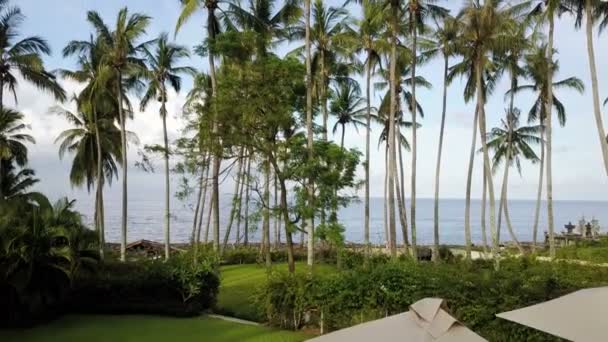 Vista aerea da drone sul mare e sulla spiaggia su cui palme di Bali Indonesia — Video Stock