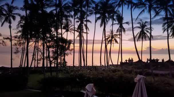 Luftaufnahme von der Drohne des Sonnenaufgangs über dem Meer durch Palmen am Strand, Bali, Indonesien, — Stockvideo