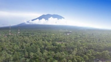 Drone panoramik aero görünümünden orman ve dağlar, Bali, Endonezya,