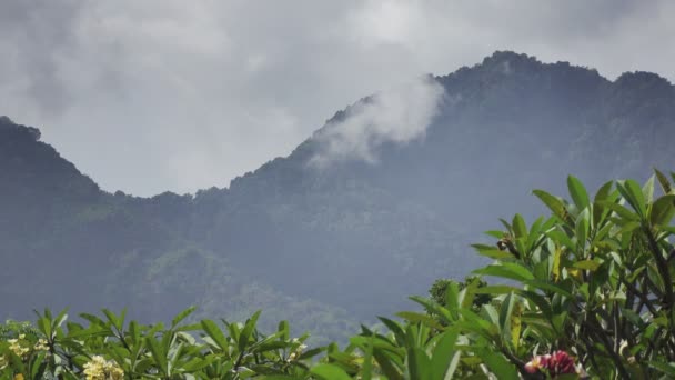 Indonésie, Bali, nuages se déplacent sur la montagne et un jardin tropical — Video