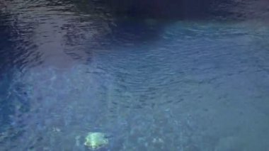 Panorama Havuzu, tropikal Bahçe ve dağ tatil, Bali, Endonezya,