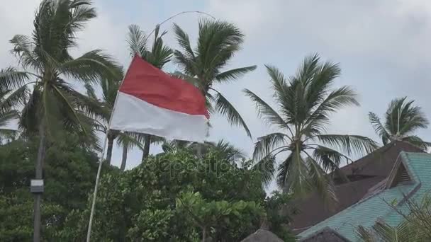 Endonezya bayrağı Rüzgar palmiye ağaçları tropik sahilde arka planı üzerinde geliştirir — Stok video
