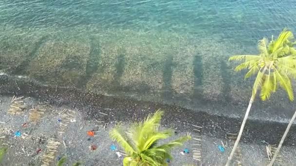 Blick von der Drohne auf Meer, Küste, Palmen am Strand, Bali, Indonesien — Stockvideo