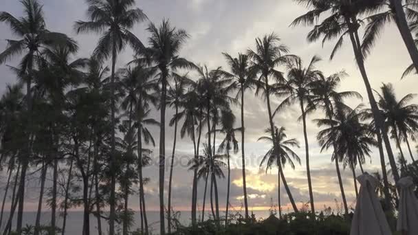 Панорамний вид на долоню дерево на море і басейн і тропічний курорт Індонезії Балі — стокове відео