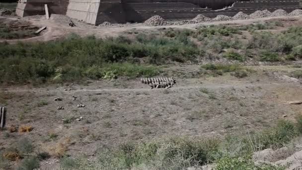 Kale Kızıl-Kala bölge, antik Harezm içinde Özbekistan bulunur — Stok video