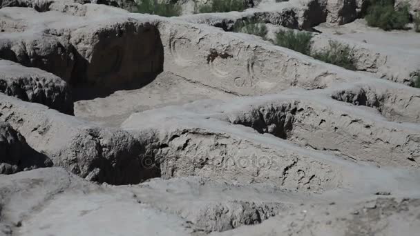 考古复杂丁香卡拉座落在古代 Khwarezm 领土，乌兹别克斯坦 — 图库视频影像