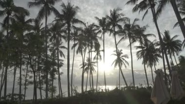 Panoramik manzaralı bir palmiye ağacı deniz ve havuz tropikal Bali Endonezya'nın üzerinde