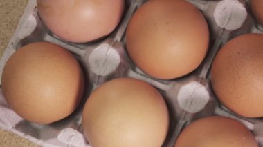 yumurta karton desteğinde yalan