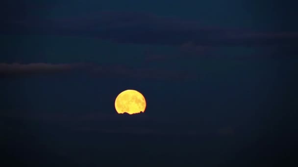 La luna llena se mueve en el cielo a través de las nubes — Vídeo de stock