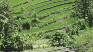Pirinç terasları Dağı'nın ve çiftçilerin ev Aero görünümünü. Bali, Endonezya