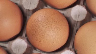 yumurta karton desteğinde yalan