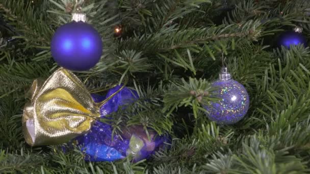 La bolsa de regalo es escondida en las ramas del árbol de Año Nuevo — Vídeos de Stock