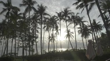 Panoramik manzaralı bir palmiye ağacı deniz ve havuz tropikal Bali Endonezya'nın üzerinde