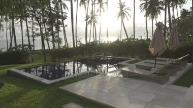 Panoramik manzaralı bir palmiye ağacı deniz ve havuz tropikal Bali Endonezya'nın üzerinde