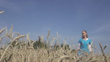 Uzun sarı saçlar olan ince kadın olgun buğday tarlada güneşli gün gider.