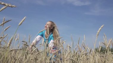 Genç kadın mavi bir elbise ve güneşli gün, ağır çekim olgun buğday alanında uzun sarı saçlar