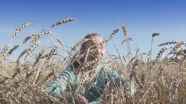 De jonge slanke vrouw met een lange eerlijke haar beweegt uit elkaar handen stengels van rijpe tarwe in zonnige dag — Stockvideo