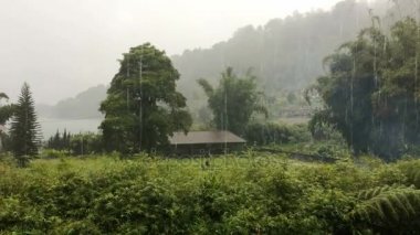 Bali Adası tropik yağmur