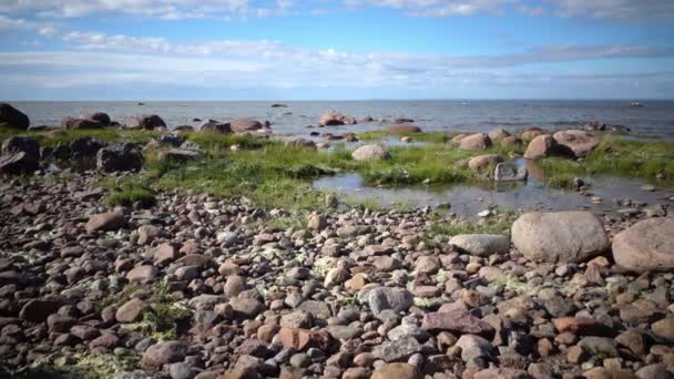 Panorama of the stony coast of the Gulf of Finland in sunny day — Stock Video