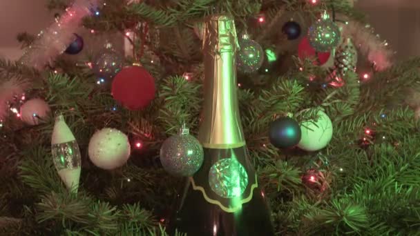 Új alkalmas üveg pezsgővel, a háttérben a díszítik a játékok és a fenyő-karácsonyfa füzér — Stock videók