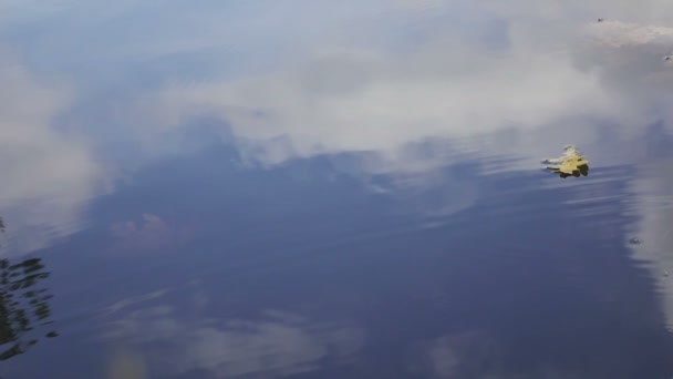 Осенний лист дуба медленно падает в озерную воду, в которой отражается небо, замедленное движение — стоковое видео