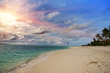 Maldivler. Güneş bulutların üzerinden ışık palmiye ağaçları ile plaj