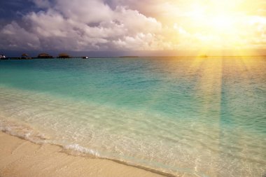 Maldivler. kumlu bir plaj ve okyanus kıyısında