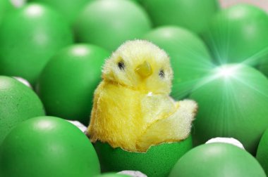 oyuncak tavuk yumurta arasında 2017 Doğu takvime göre bir sembolü olarak pişmiş yumurta kabuğunun oturmak