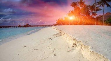 okyanus, tropik adada palmiye ağaçları. Maldivler