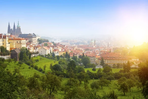 Prague Top View Old Town Roofs Old City Prague Stare — Stock Photo, Image