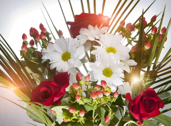 Ramo brillante con manzanillas y rosas —  Fotos de Stock