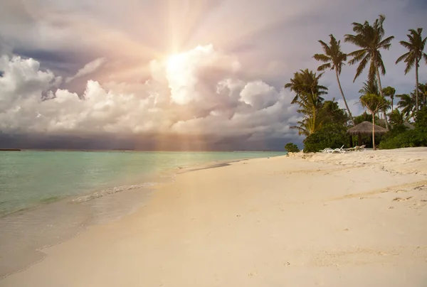 Palmbomen Het Tropische Eiland Oceaan Maldiven — Stockfoto