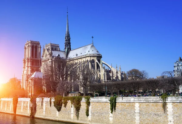 França Paris Notre Dame — Fotografia de Stock