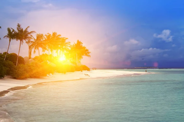 Maldivas Uma Praia Areia Palma Costa Mar — Fotografia de Stock
