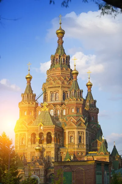 Russland Vorort Von Heiligem Petersburg Kathedrale Des Heiligen Peter Und — Stockfoto