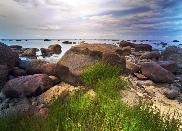 Steinigen Küste Des Golfs Von Finnland Bei Petersburg Russland — Stockfoto