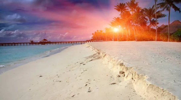 Palme sull'isola tropicale all'oceano. Maldive — Foto Stock