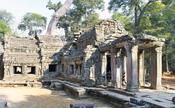 Preah Khan Traduce Como Una Espada Sagrada Árboles Ruinas Del —  Fotos de Stock