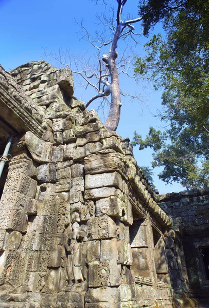 Preah Khan Translated Sacred Sword Fák Romjai Mellett Templomban Siem — Stock Fotó