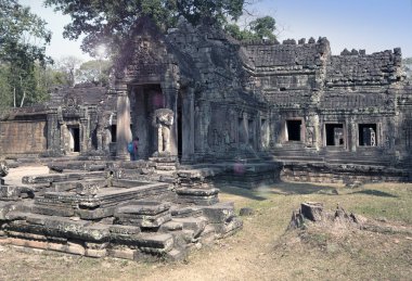 Preah Khan Tapınağı (12. yüzyılda) Angkor Wat, Siem Reap, Kamboçya.