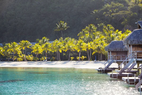 Paisagem Típica Polinésia Ilha Com Palmeiras Pequenas Casas Água Oceano — Fotografia de Stock