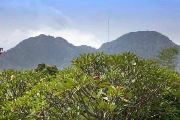 巴厘岛北部 丛林和山脉 — 图库照片