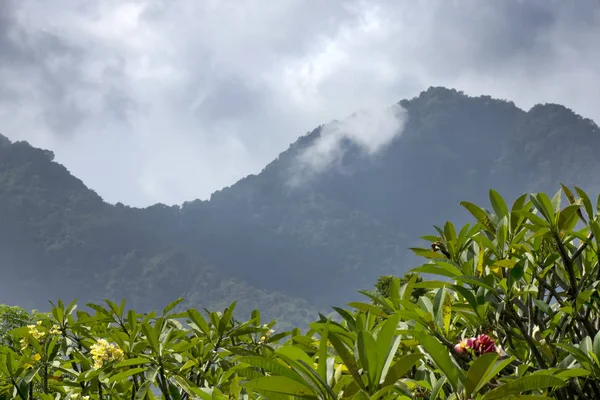 Norte Bali Pemuteran Selva Montanhas — Fotografia de Stock