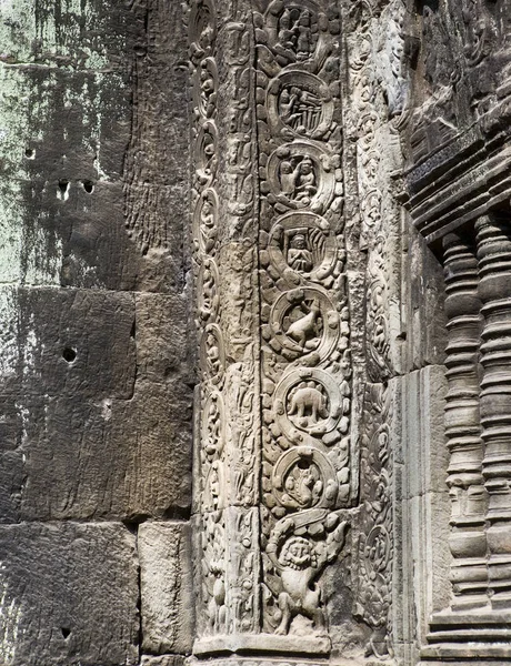 Talla Dinosaurio Stegosaurus Pared Templo Prohm Siem Reap Camboya — Foto de Stock