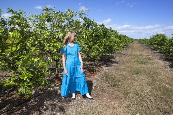 Egy Hosszú Kék Ruhát Ültetvénye Narancs Kuba — Stock Fotó