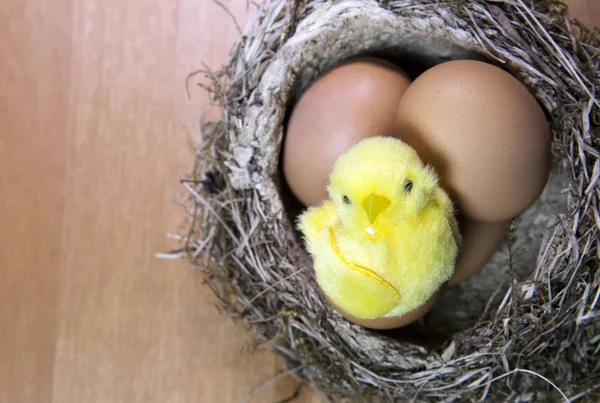 玩具鸡在一个明亮的复活节彩蛋壳在巢与蛋 — 图库照片