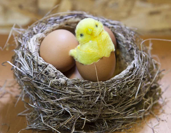 Oyuncak Tavuk Bir Nest Yumurta Ile Parlak Paskalya Yortusu Yumurta — Stok fotoğraf