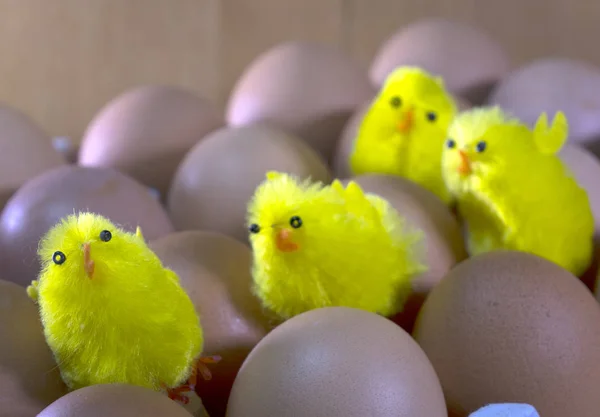 Drei Spielzeughühner Zwischen Eiern Verpackung — Stockfoto